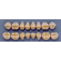 ULTRADENT POST 34M/A3 LOWER (1x8 CARD) Card