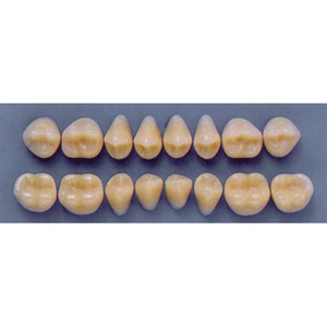 ULTRADENT POST 34M/69 UPPER (1x8 CARD) Card
