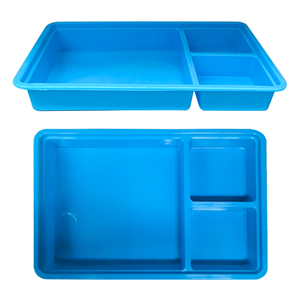Warwick Instrument Tray