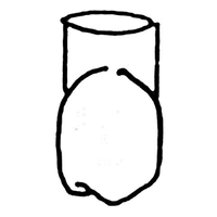 WILLIAMS FRASACO TYPE CROWNS 242 5/PK Pack