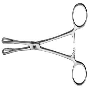 Adler Rampley Sponge Holding Forceps, 24.2cm, Stainless Steel, Each Each